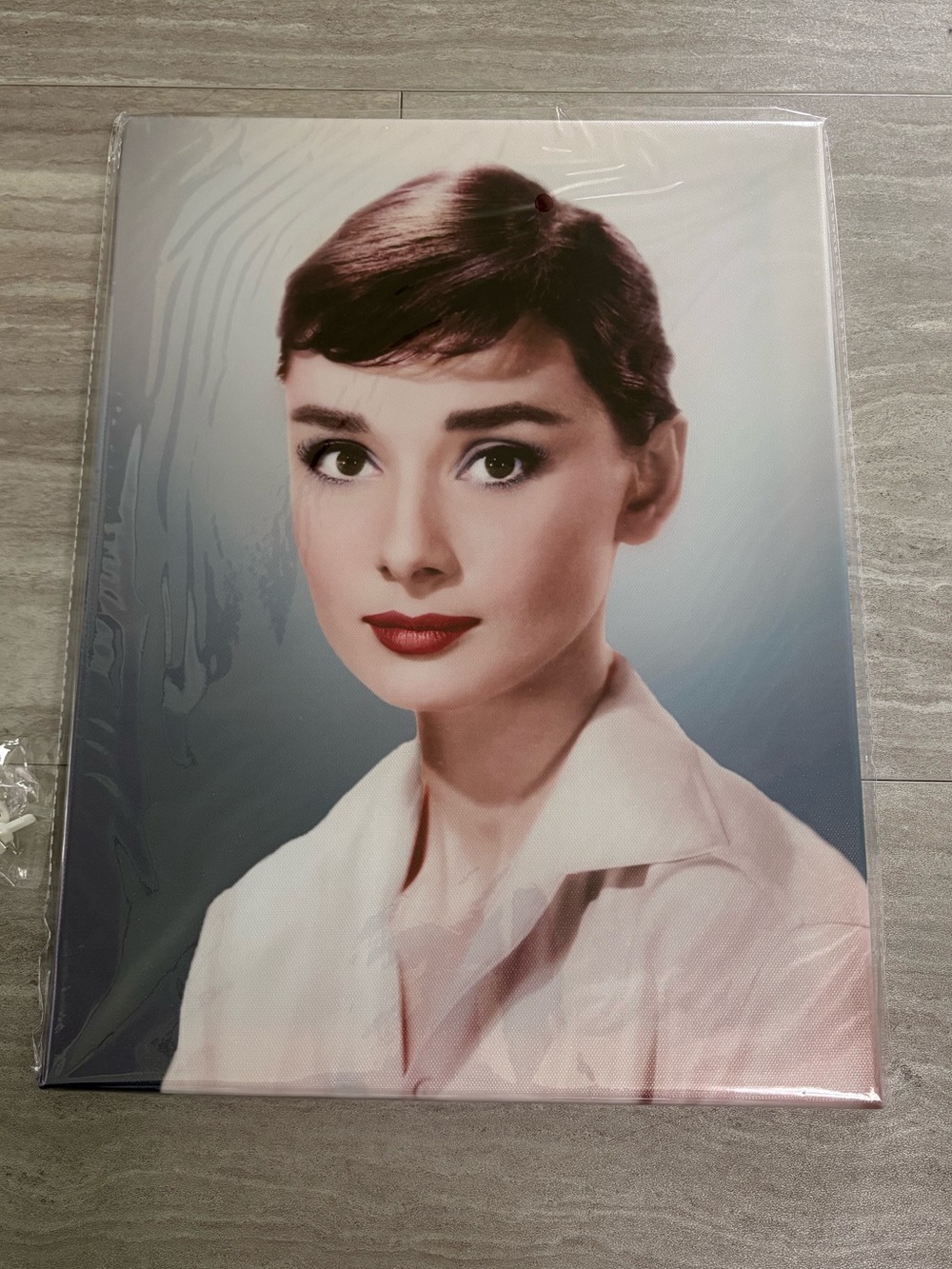 NEW Audrey Hepburn Canvas Picture Print Wall Art 12 x 16